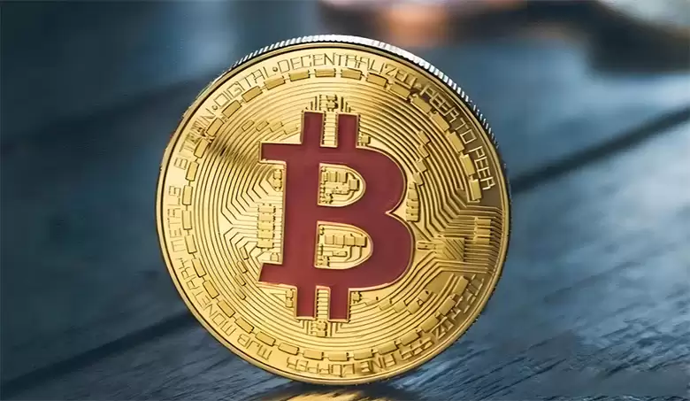 比较狗狗币与比特币:哪一个是更好的投资？