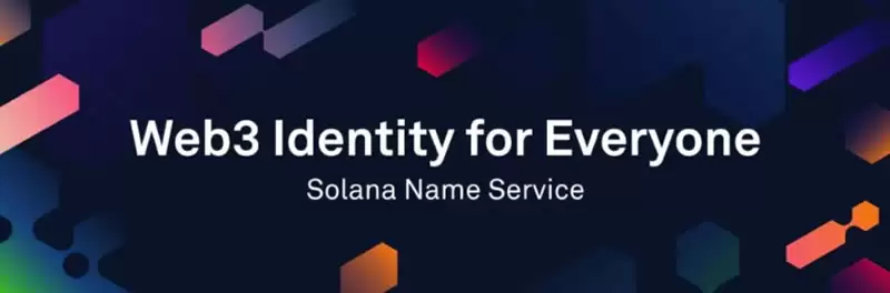 什么是Solana名称服务(SNS)币？SNS代币经济学、功能及未来分析