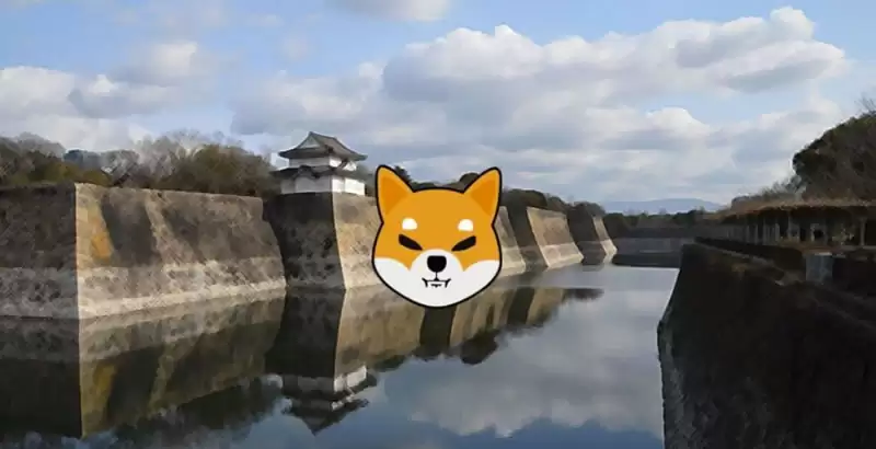 什么是柴犬币(SHIB)?如何购买、价格预测及初学者需要知道的一切