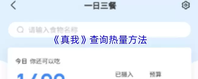 《真我》查询热量方法