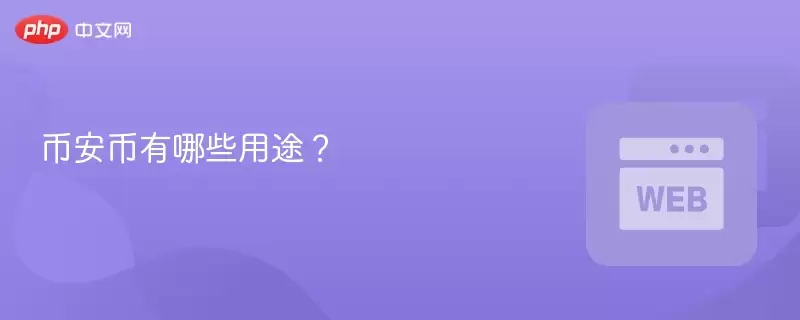 币安币有哪些用途? - 菜鸟下载