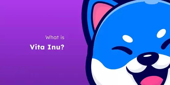 VINU是什么币种？VINU币前景怎么样？