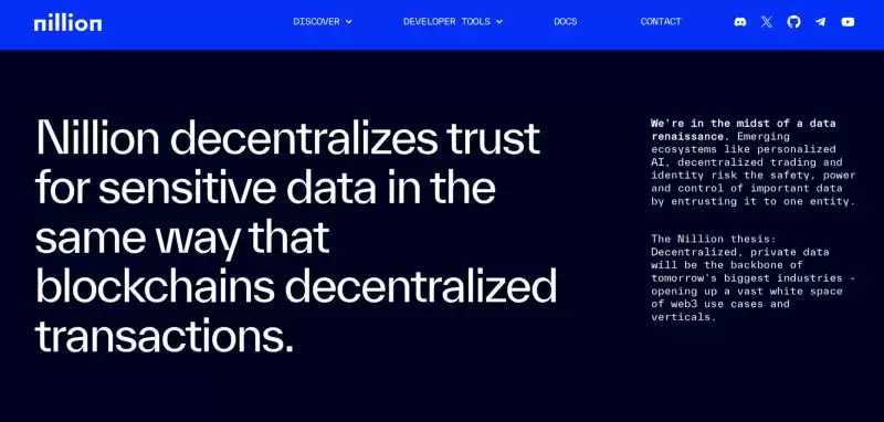 什么是AI Layer1?AI Layer1项目盘点/未来展望与投资价值