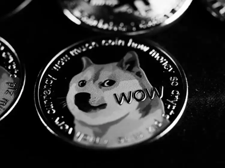 什么是迷因币？热门迷因币排名及投资迷因币的利弊完整入门指南