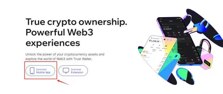 创建新钱包并同意协议