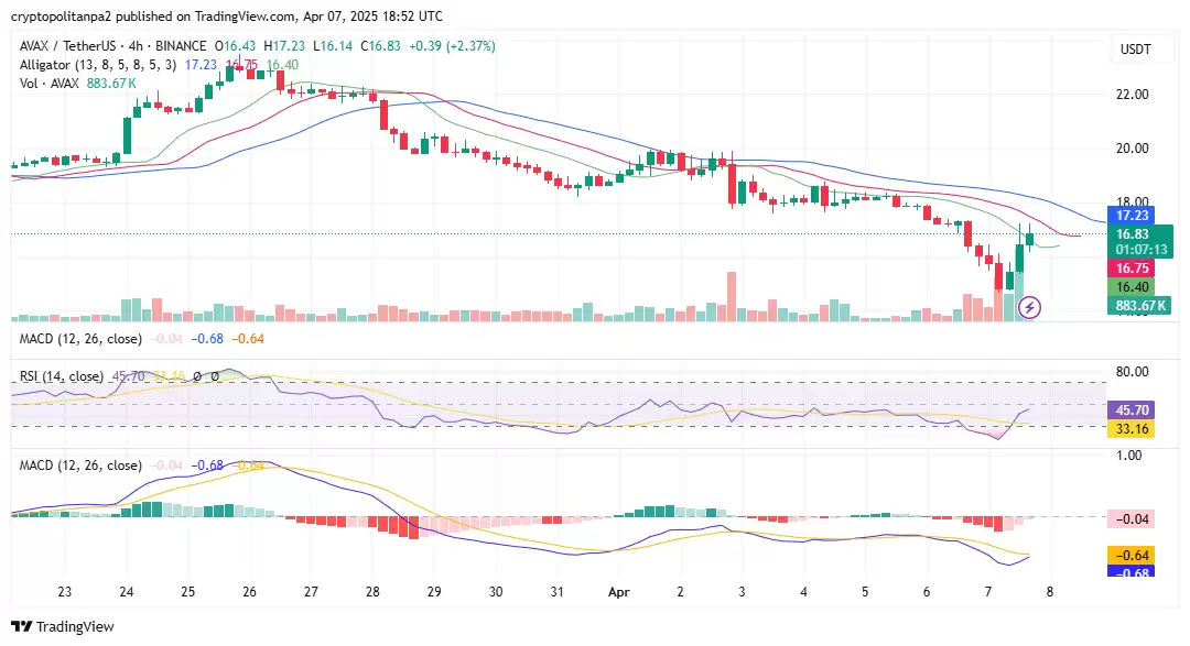 AVAX价格走势预测:雪崩币能到1000美金吗?有投资价值吗?