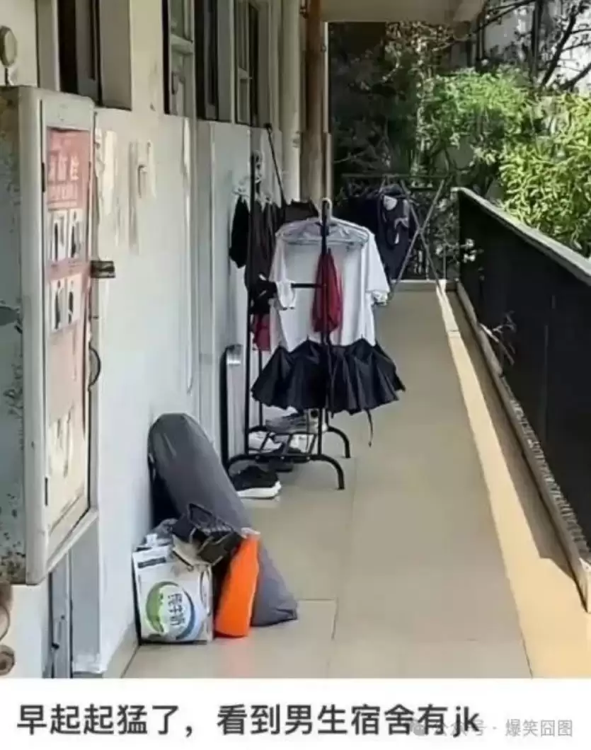 囧图解析：从牵手到黄文，探索福利尽头的抽象逻辑