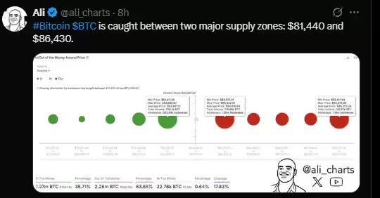 黄金价格创下新高后,比特币会随之飙升吗?