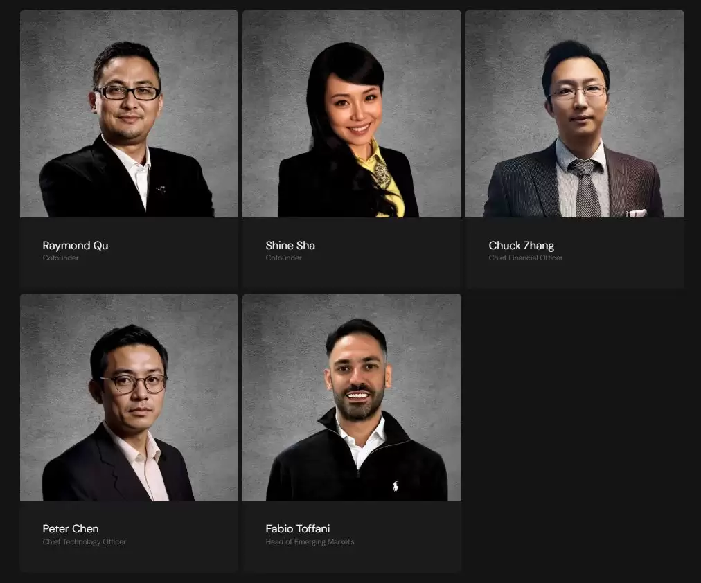 Polyflow是什么?融资、团队、功能、风险机遇解读