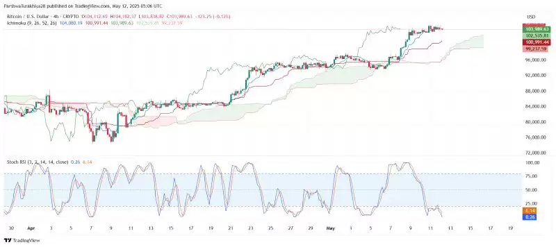 2025年5月比特币价格预测:BTC能否突破10万?未来六个月价格怎么走?