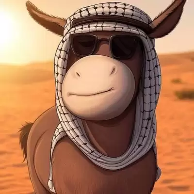 什么是驴子迷因币(DONKEY)?探索BNB链上的DONKEY币