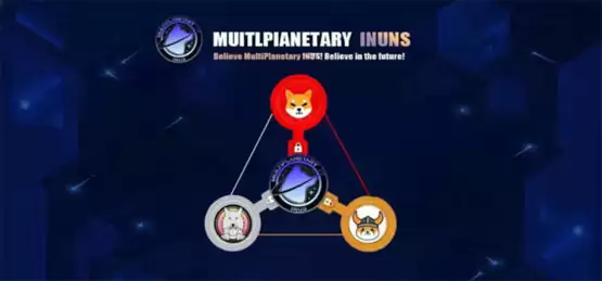 INUS币全面介绍与发展历程