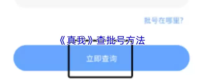 《真我》查批号方法