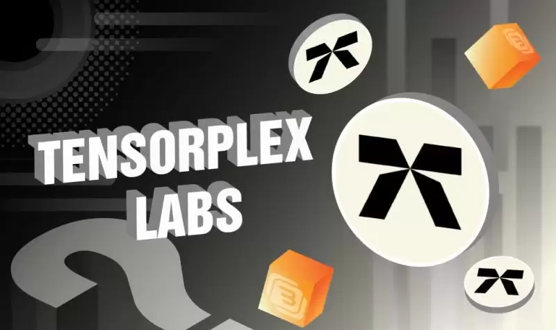什么是Tensorplex Labs?Tensorplex团队、融资、产品介绍
