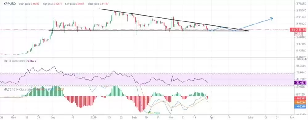 瑞波币价格预测:2025年、2026年、2027-2030年