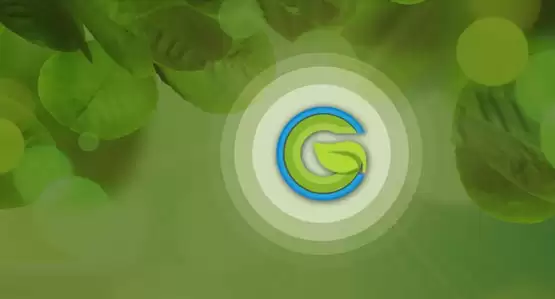 WGC是什么币种?WGC币官网、总量和发行价介绍