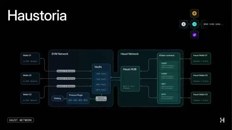 什么是HAUST币？HAUST代币经济学、团队背景、特点、使用方法介绍