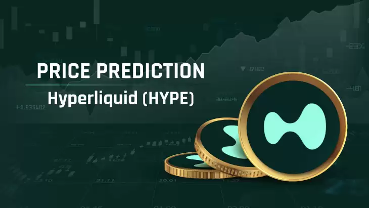 2025-2030年HYPE币价格预测:它会突破100美元吗？