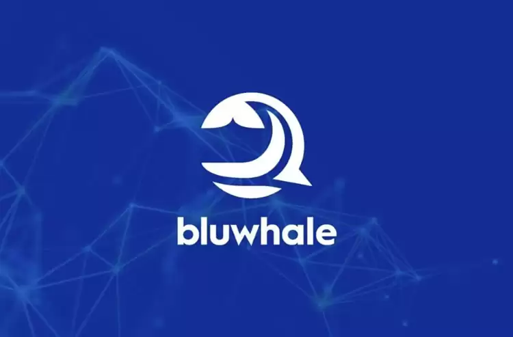 Bluwhale Network(BLUAI)币是什么?如何参与空投,未来潜力如何?