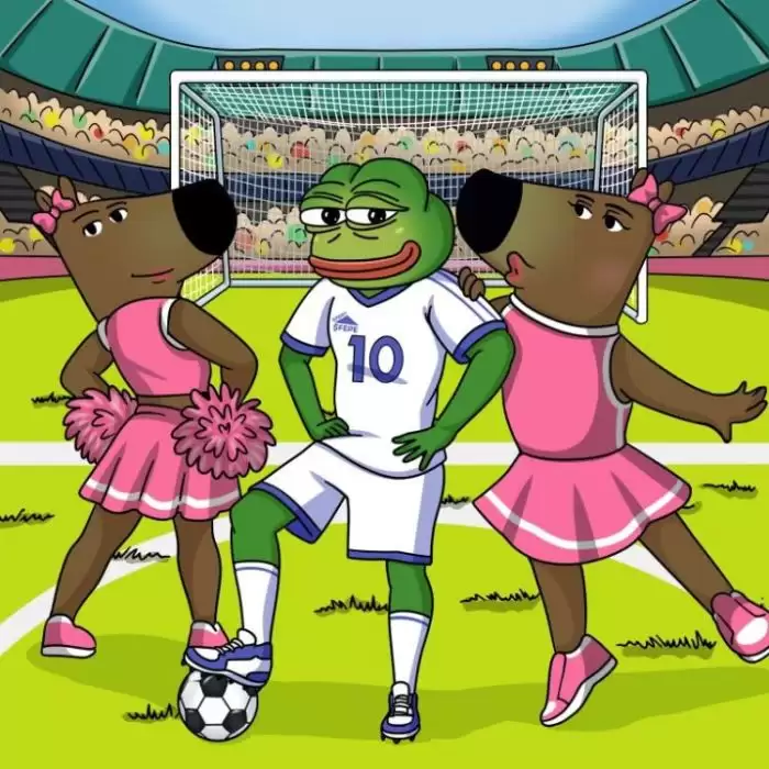 如何购买Fantasy Pepe($FEPE)?新手购买Fantasy Pepe的五个简单步骤