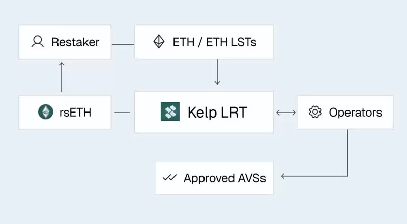 KernelDAO(KERNEL)币是什么?参与KernelDAO Megadrop并赚取收益的指南