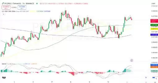 PEOPLE币价格预测2025-2030:PEOPLE币会达到1美元吗？