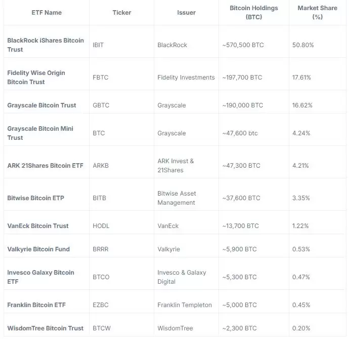 山寨ETF热潮现状:2025年加密ETF申请详览