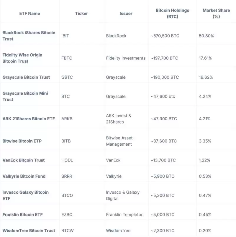 2025年必知的所有美国加密货币ETF申请现状与影响