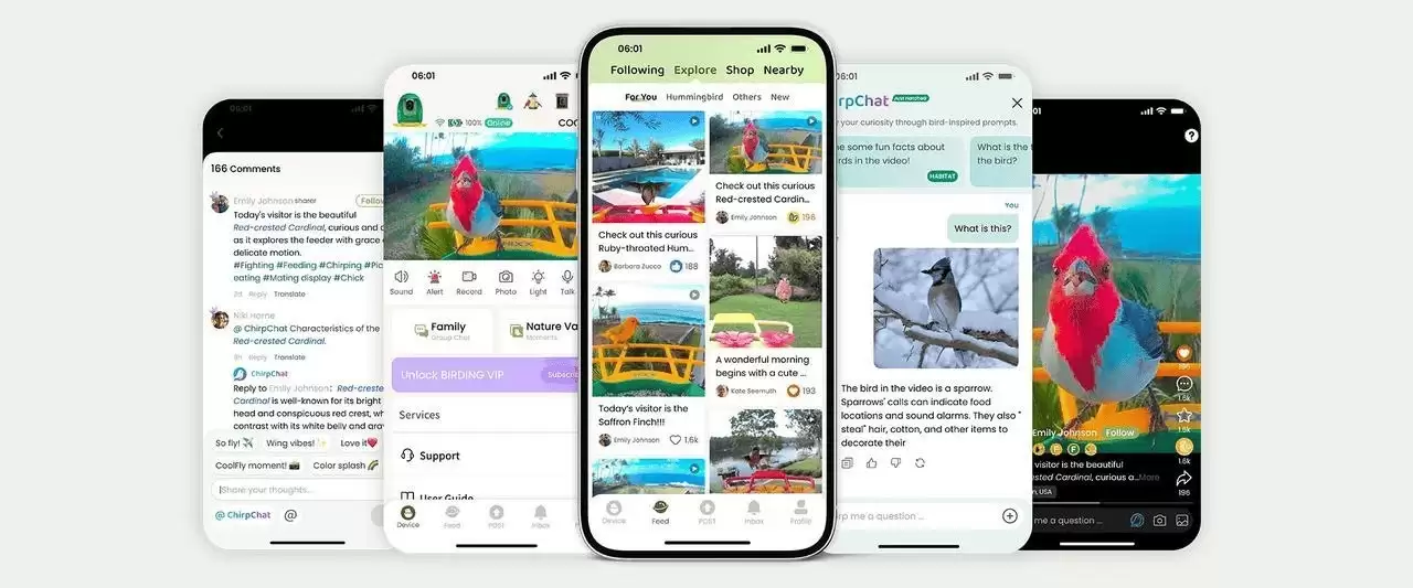 从深圳到北美：中国创企COOLFLY改写全球AI观鸟市场格局