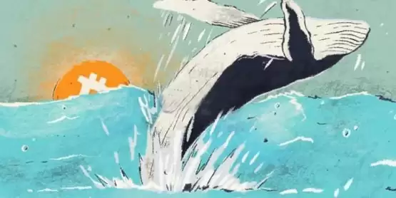 Glassnode数据:鲸鱼在不断买入比特币!较小投资群体才在卖BTC