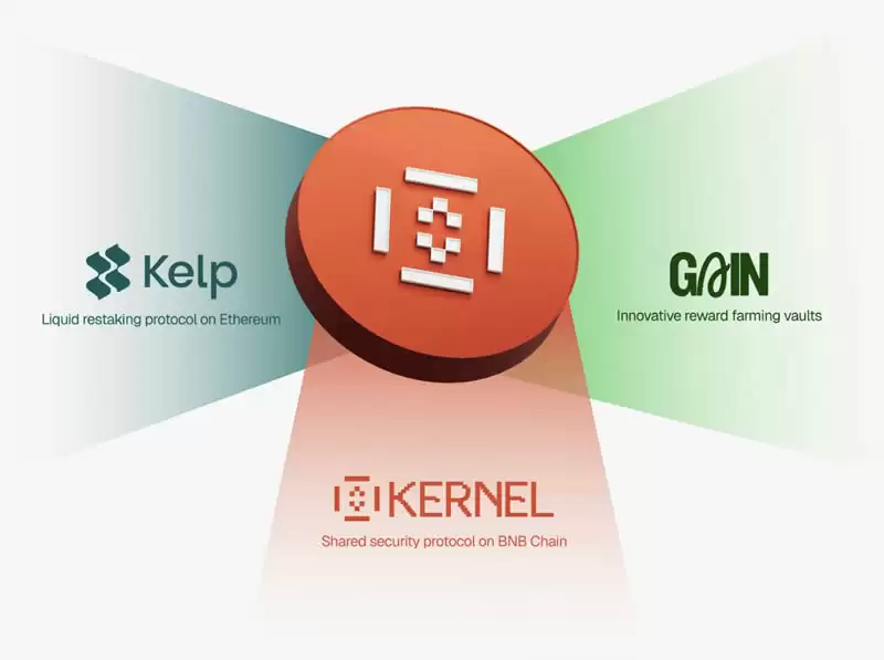 KernelDAO(KERNEL)币是什么?参与KernelDAO Megadrop并赚取收益的指南