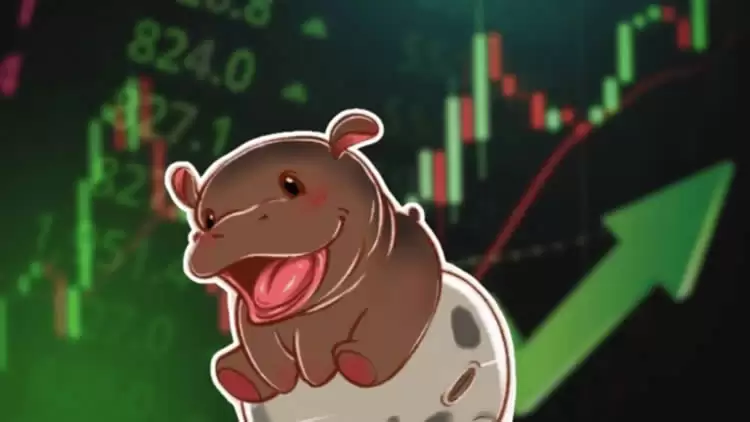 MOODENG币未来价格走势分析