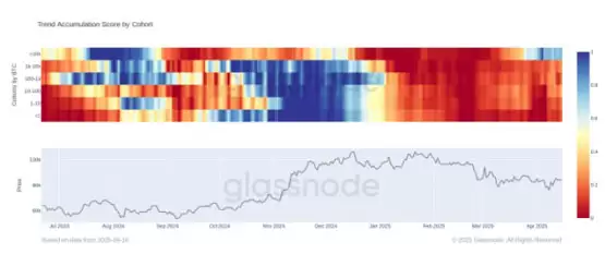 比特币鲸鱼吸收了新挖矿比特币供应的300%—下一个目标是10万美元吗？
