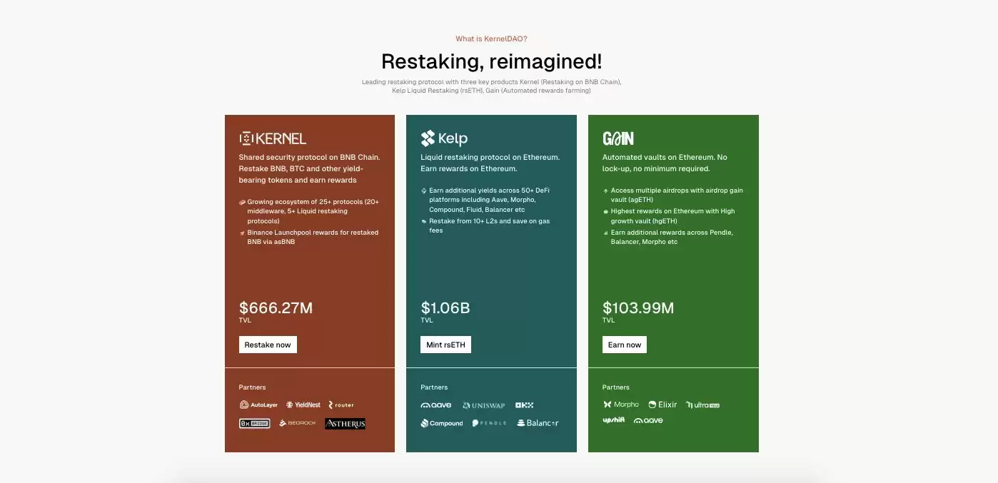 KernelDAO是什么?KERNEL币前景、代币经济、背景团队、解锁计划介绍