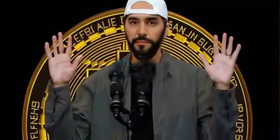 生态困境！数据显示萨尔瓦多近九成的服务提供商已停止运营