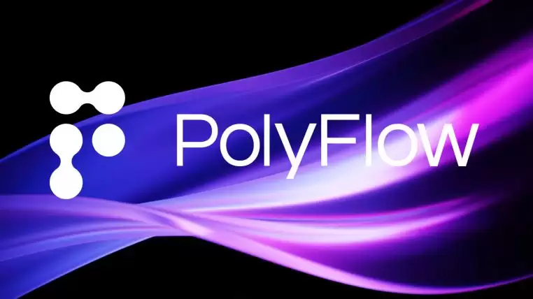 Polyflow是什么?融资、团队、功能、风险机遇解读