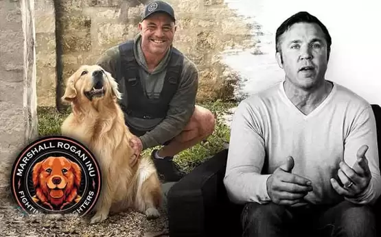 MRI币价格多少？MRI币历史价格一览