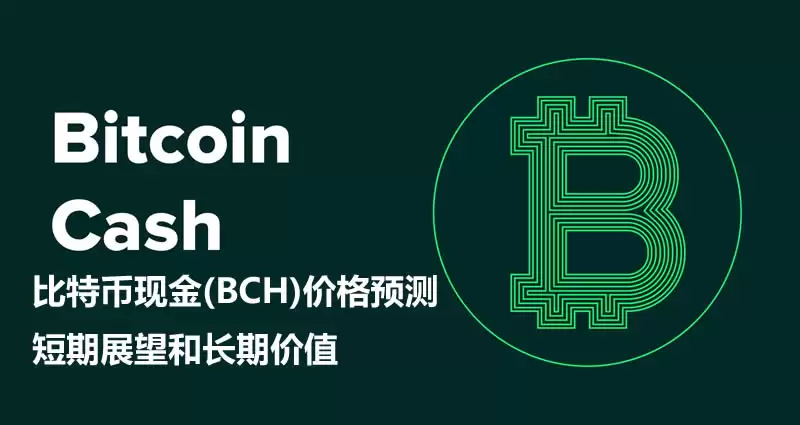 比特币现金(BCH)价格预测:短期展望和长期价值