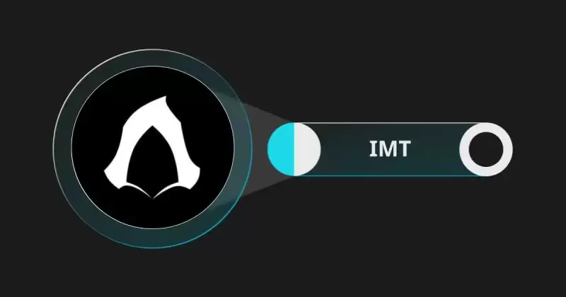 Immortal Rising 2是什么？IMT代币经济学和运作方式解读