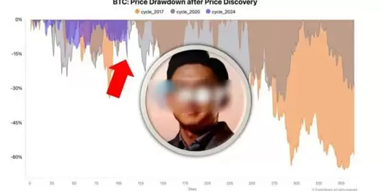 CryptoQuant CEO Ki Young Ju：比特币回调30%是每轮牛市正常现象