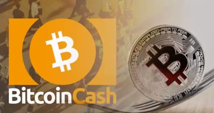 比特现金和比特币关系是什么？比特现金和比特币关系和区别详解