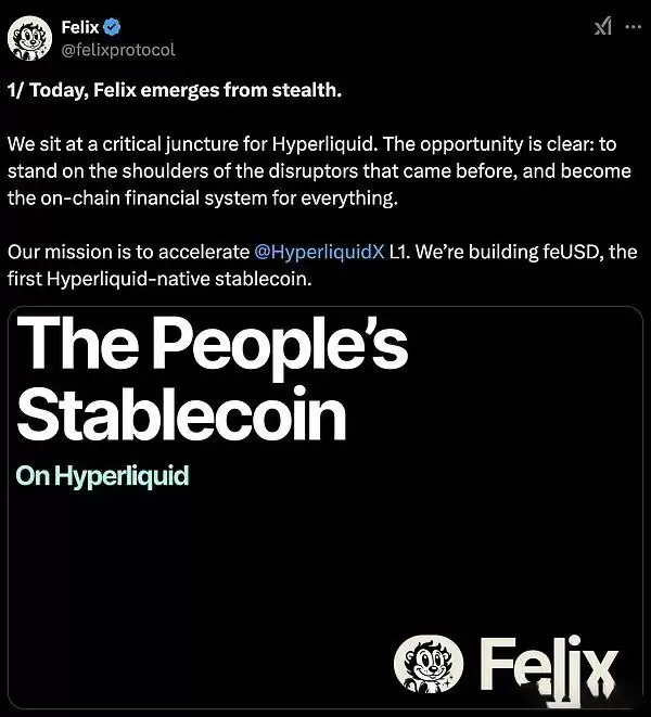 HyperEVM生态热门项目分析:未来前景如何？