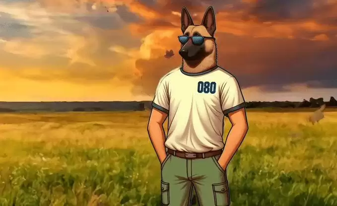 Broccoli(080)代币:CZ宠物狗启发的BSC生态新meme币