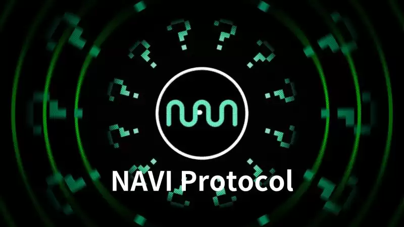 什么是NAVI Protocol?NAVX币价格预测及代币经济学