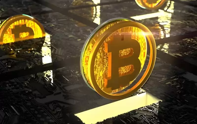 比特币活跃地址创新高,有望在3月出现逆转