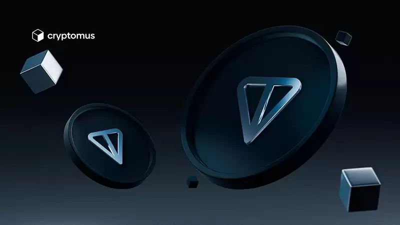 什么是Toncoin (TON) 以及它是如何工作的?