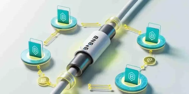 BNB链上的币有哪些?BNB链热门代币盘点