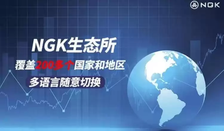 NGK是什么币种?NGK币前景怎么样?