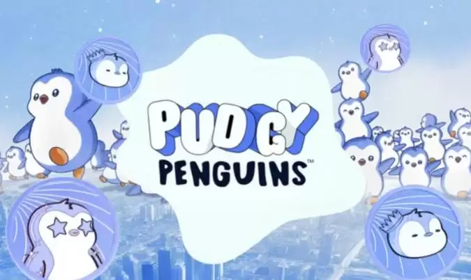 Pengu币合约地址多少?Pengu币合约地址解析