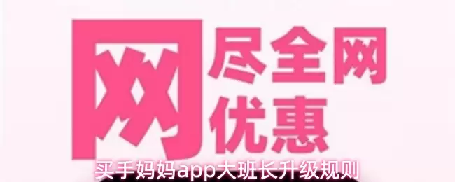 买手妈妈app大班长升级规则